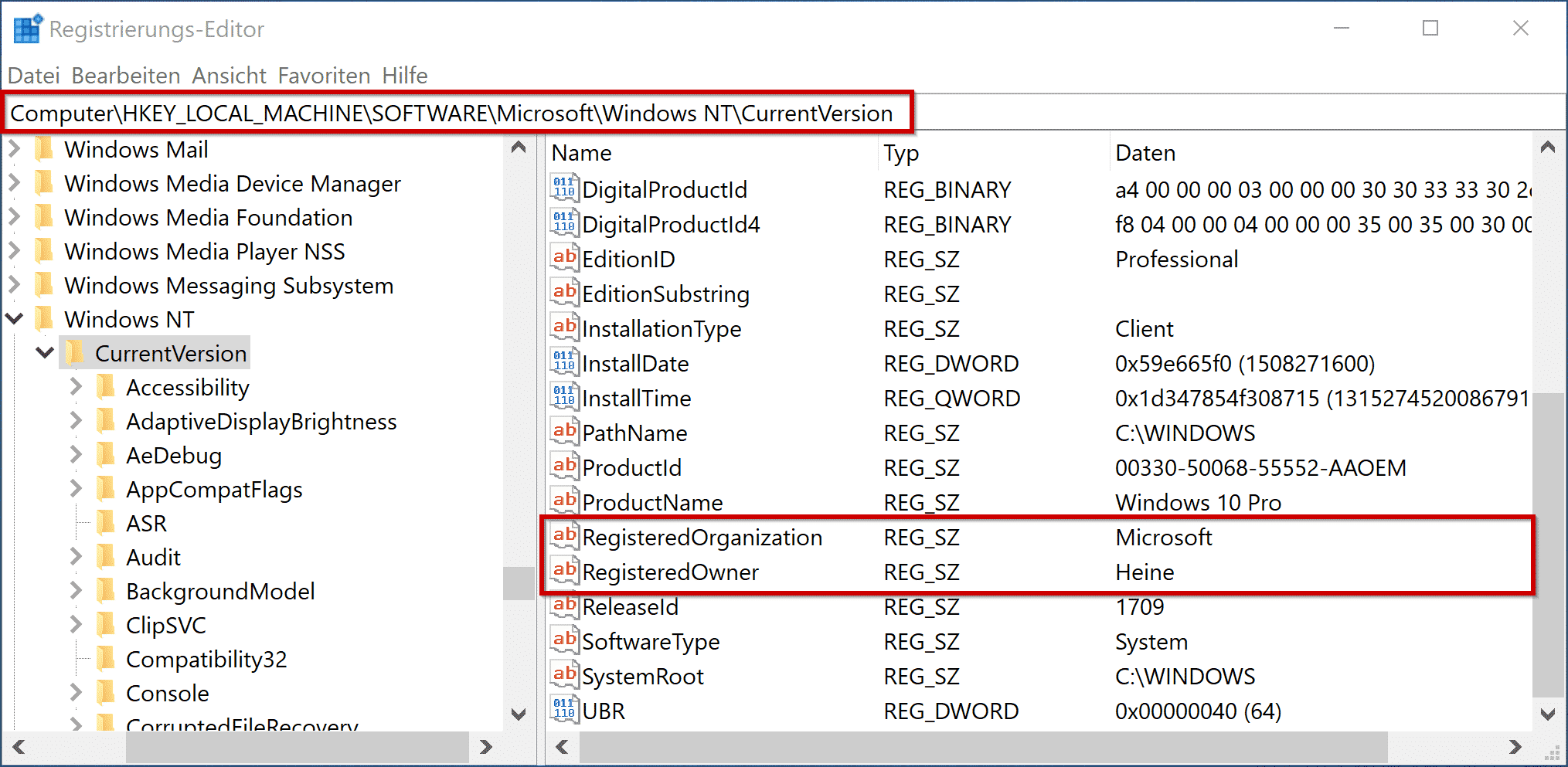 RegisteredOrganization RegisteredOwner