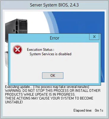 PowerEdge R720 Bios Update Fehler „System Services is disabled“