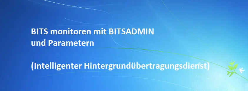 BITS monitoren mit BITSADMIN und Parametern (Intelligenter ...