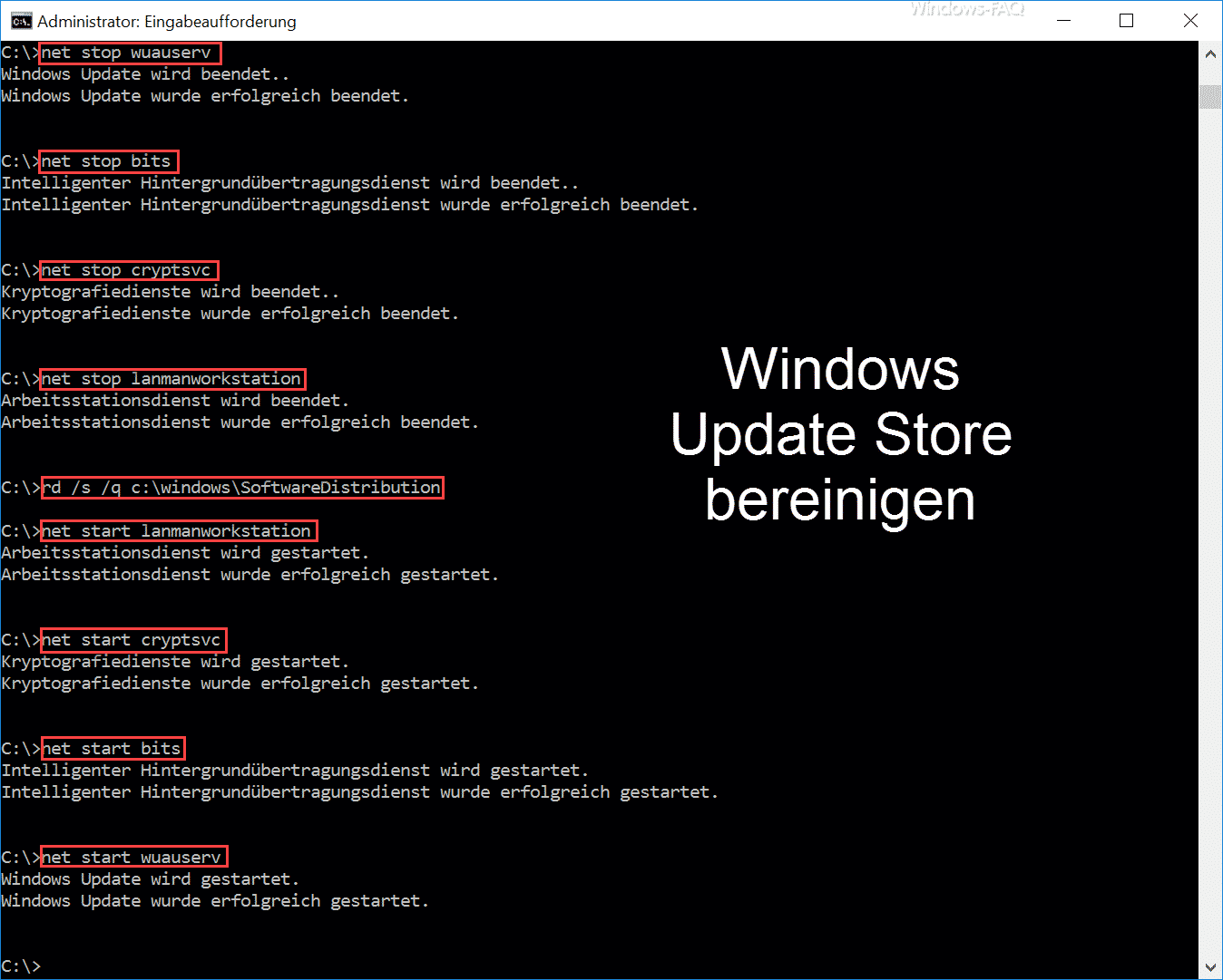 Windows Update Store bereinigen