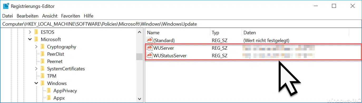 WSUS Registry