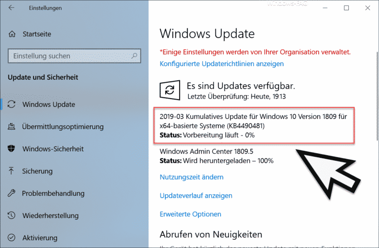 Download KB4490481 für Windows 10 Version 1809 Build 17763.404
