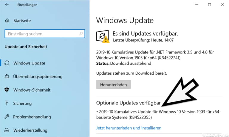 Download KB4522355 für Windows 10 Version 1903 Build 18362.449