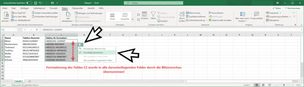 Excel Blitzvorschau erneut Felder mit gleicher Formatierung