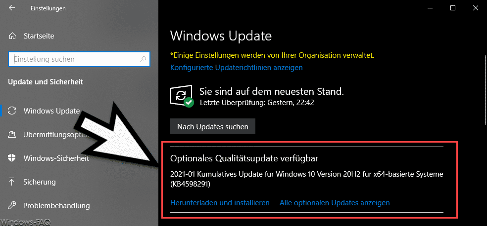 KB4598291 für Windows 10 Version 2004 und 20H2 (19041.789 und 19042.789)