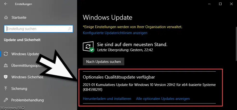 KB4598291 für Windows 10 Version 2004 und 20H2 (19041.789 und 19042.789)
