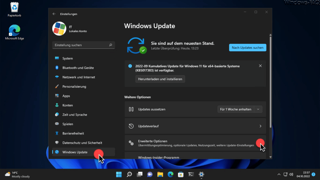 WIndows 11 Windows Update Erweiterte Optionen
