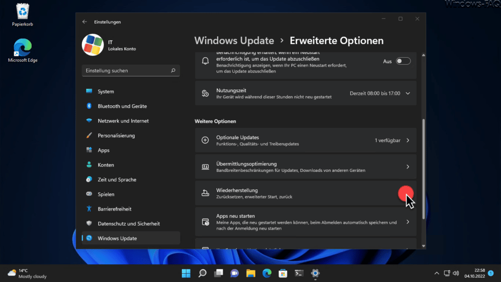 Windows 11 Wiederherstellung