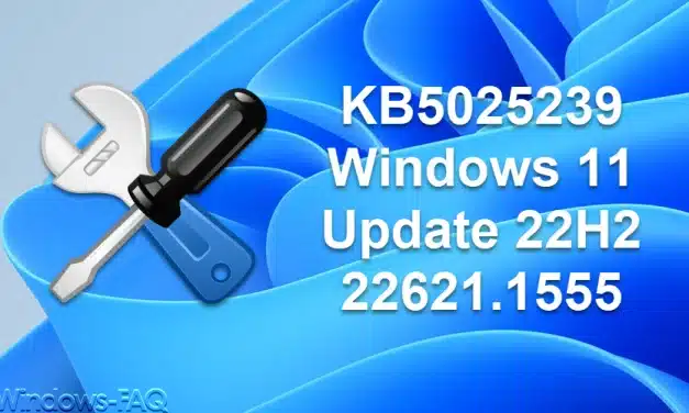 KB5025239 Windows 11 Update 22H2 22621.1555