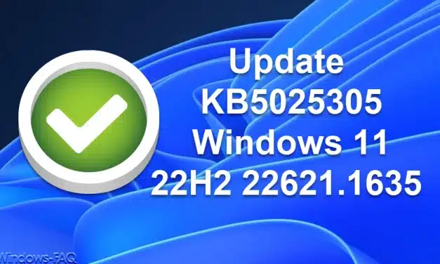 Update KB5025305 Windows 11 22H2 22621.1635