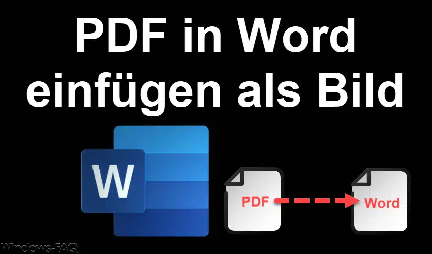 PDF in Word einfügen als Bild