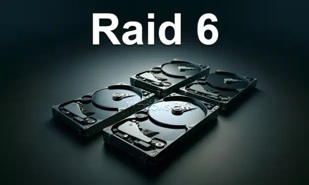 Raid 6