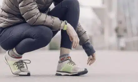 Mehr Privatsphäre, bessere Fitness: So nutzen Sie Ihren Fitness-Tracker am Windows-PC ohne Cloud-Anbindung