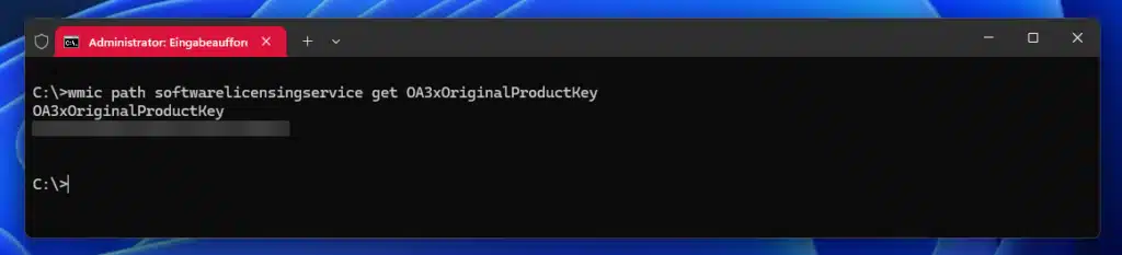 Windows Product Key auslesen