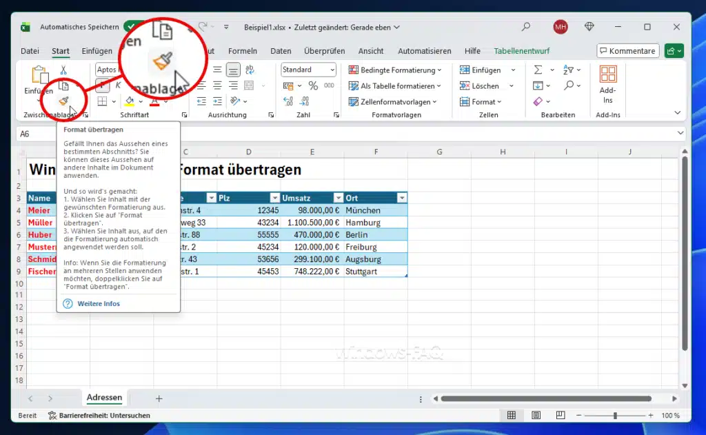 Excel Pinsel Format übertragen