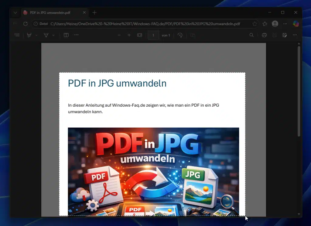 PDF in JPG umwandeln Snipping-Tool