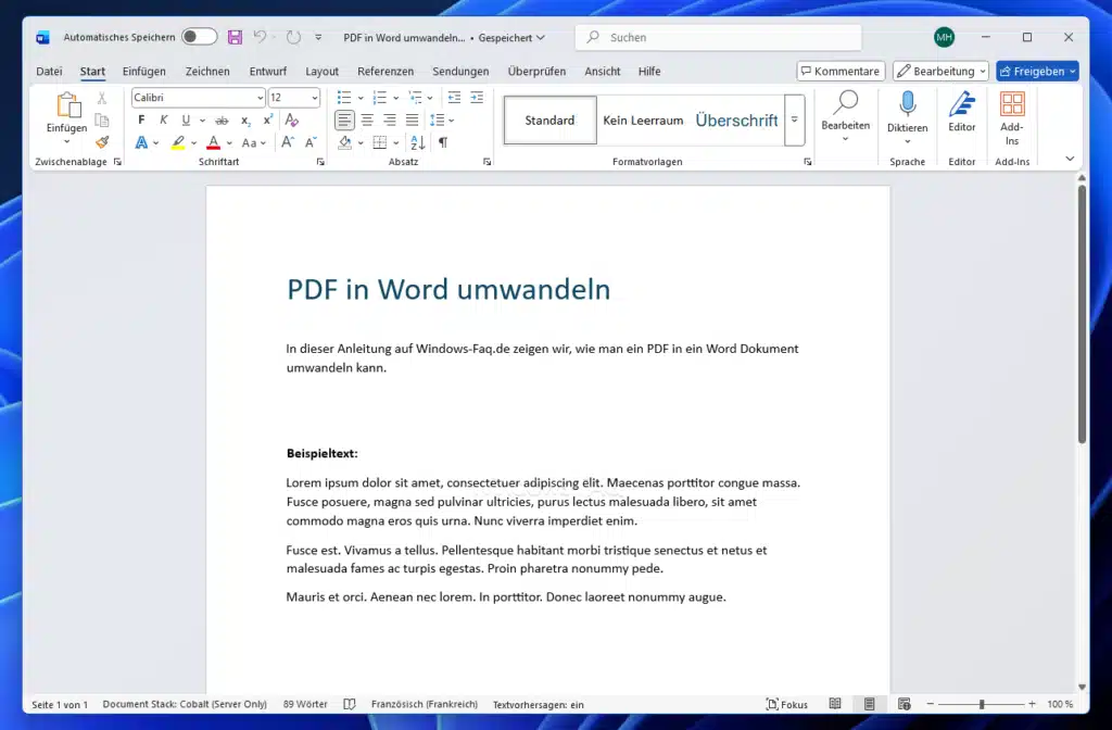 PDF in Word umwandeln - PDF im Word geöffnet