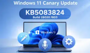 KB5083824
