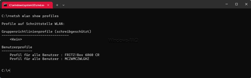 netsh wlan show profiles